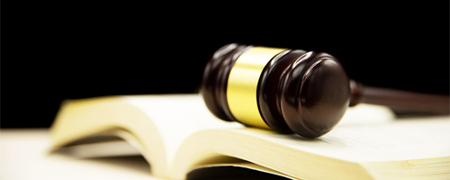 constituion_header constituion_header